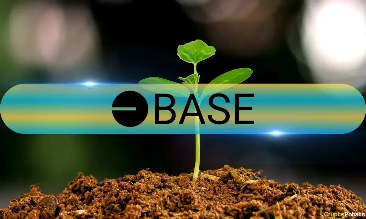 Base Overtakes Solana in Curated Capital Market Share