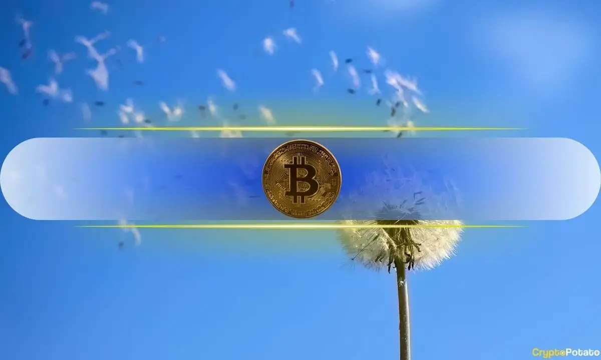 Bitcoin Shows Resilience Amidst Recent Price Dip