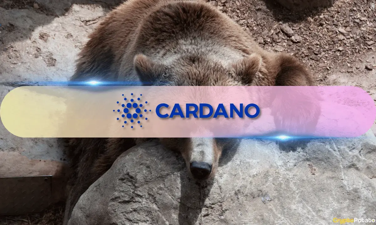 Cardano Shows Strong Recovery Amid Market Downturn