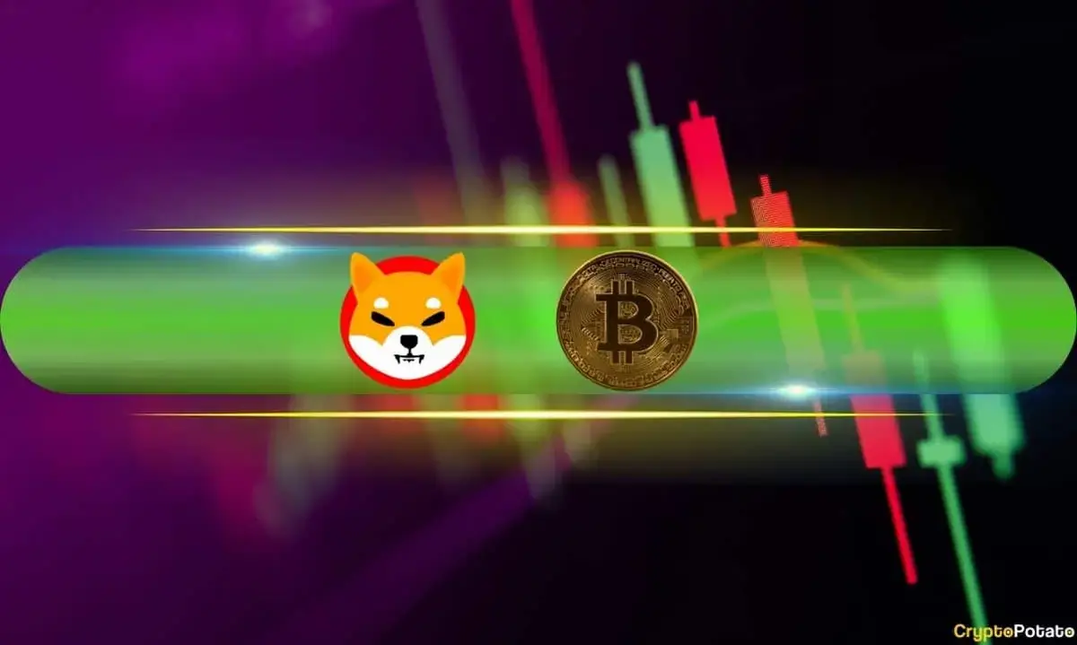 Meme Coins Shine as Bitcoin Holds $64K Support