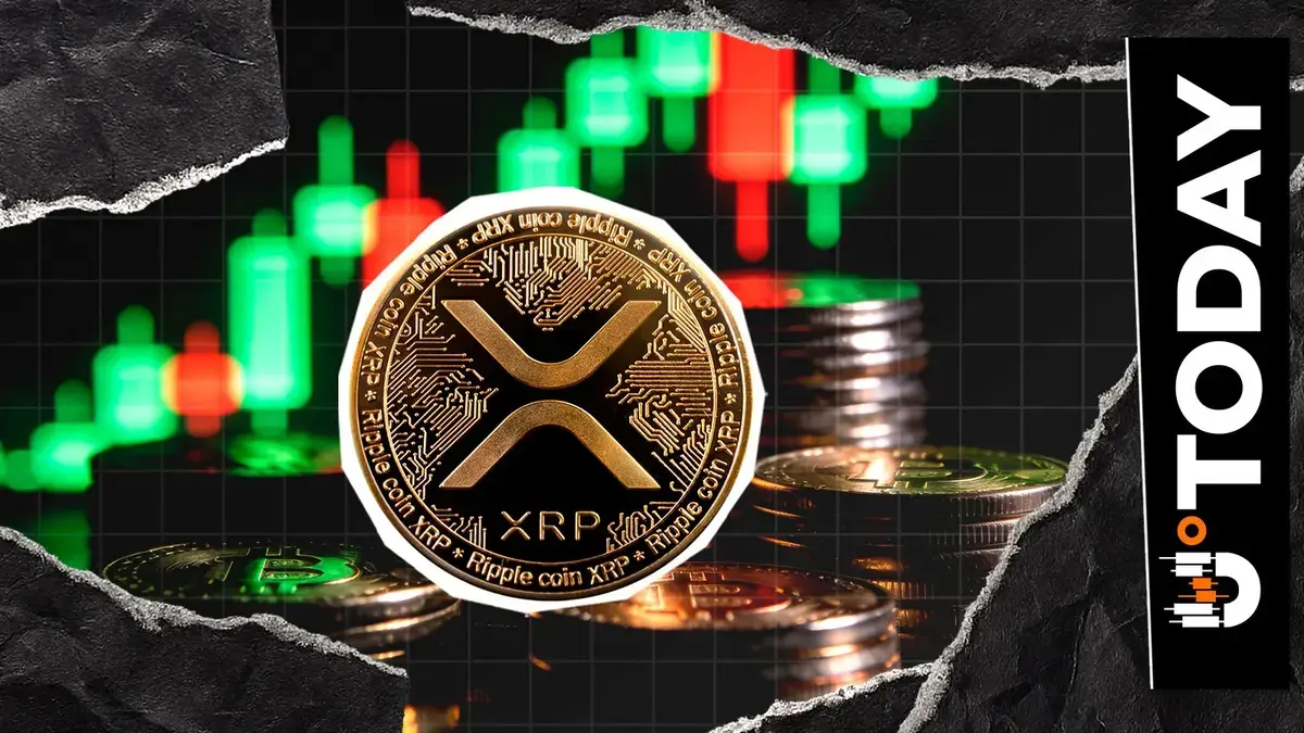 XRP Volatility Dips as Whales Accumulate Millions