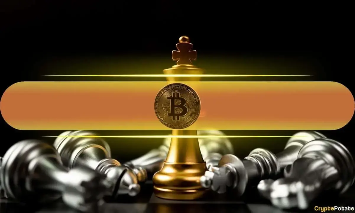 Bitcoin Outpaces Most Altcoins Since Peak, Only Nine of Top 50 Surpassed It