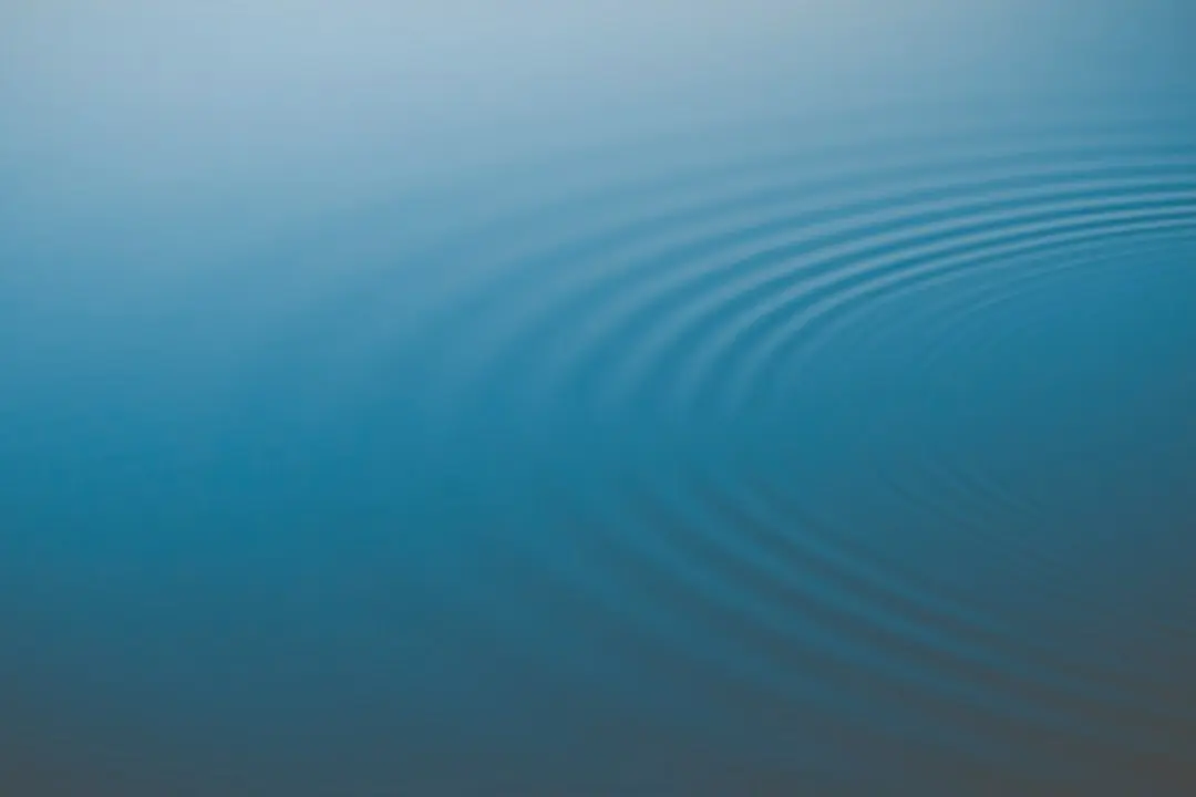 Ripple partners with Privy to integrate wallet technology into the XRP Ledger